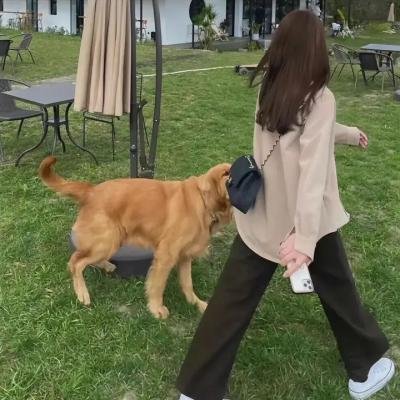 第二街的奇迹