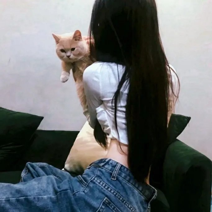 烽火雁翎
